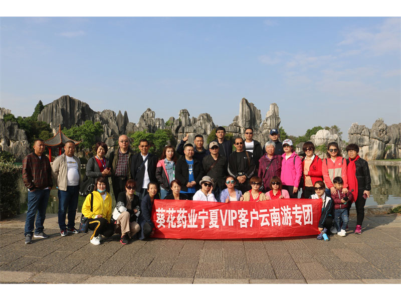 葵花药业合作之旅
